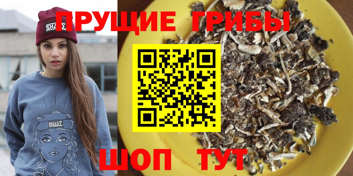 Галлюциногенные грибы MAGIC MUSHROOMS  Вход с VPN  Феодосия  Псилоцибиновые грибы MAGIC MUSHROOMS 